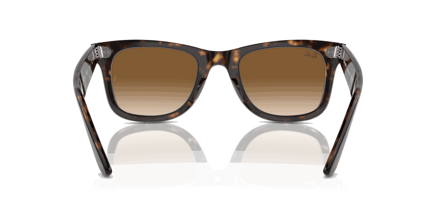 [Light Brown Lenses, Polished Tortoise Frame]