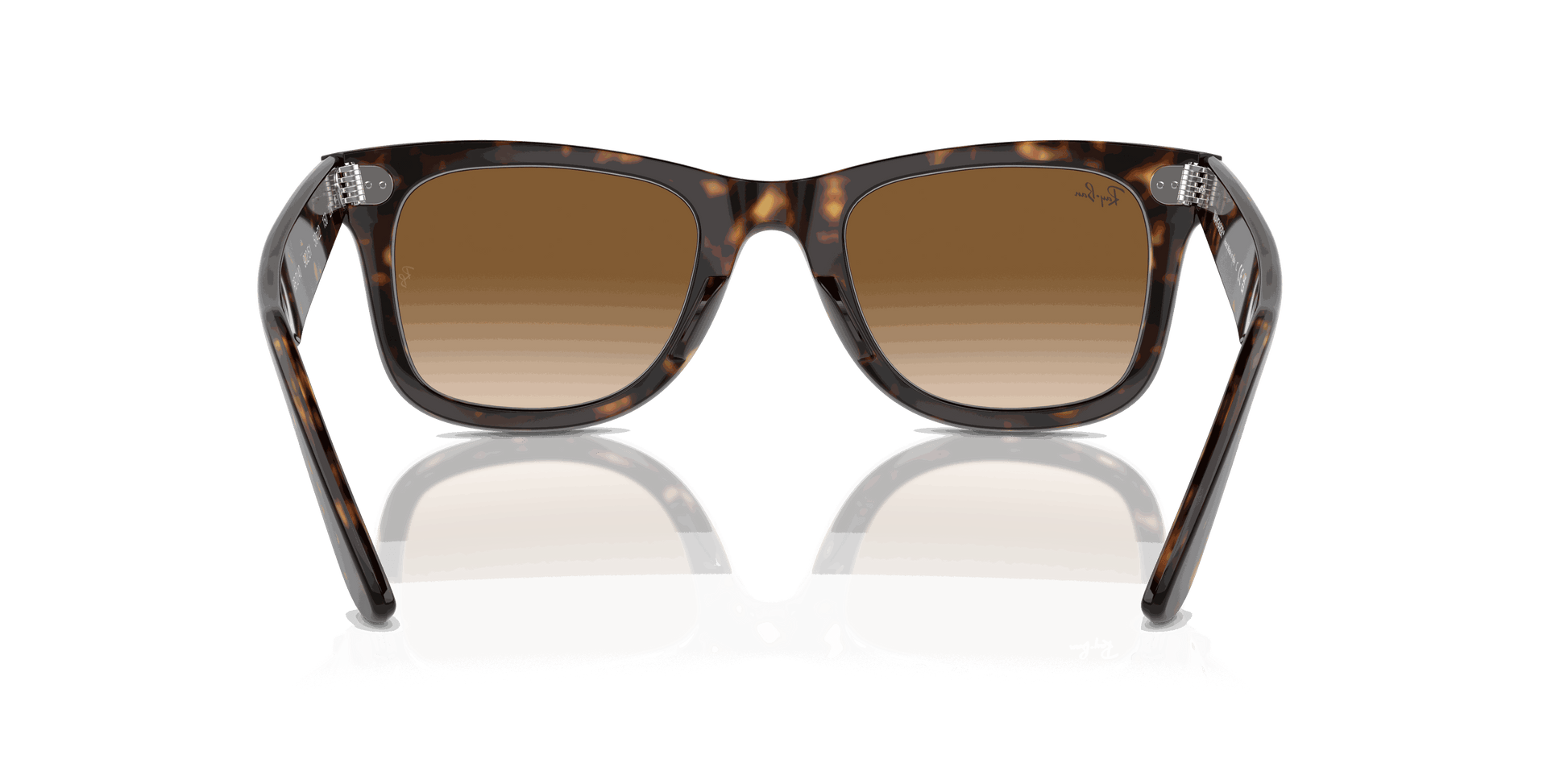 [Light Brown Lenses, Polished Tortoise Frame]
