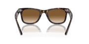 Light Brown Lenses, Polished Tortoise Frame