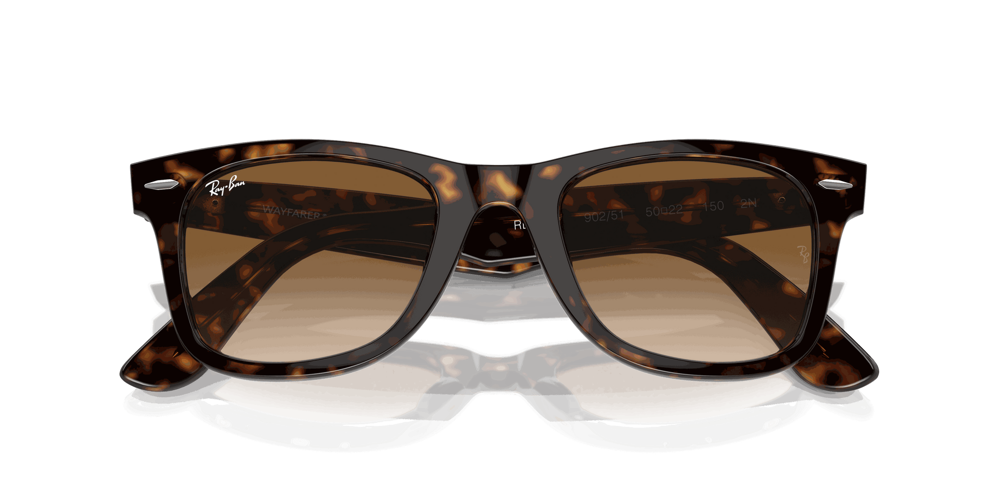 [Light Brown Lenses, Polished Tortoise Frame]