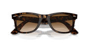 Light Brown Lenses, Polished Tortoise Frame