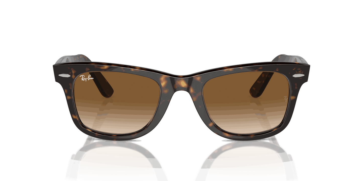 [Light Brown Lenses, Polished Tortoise Frame]