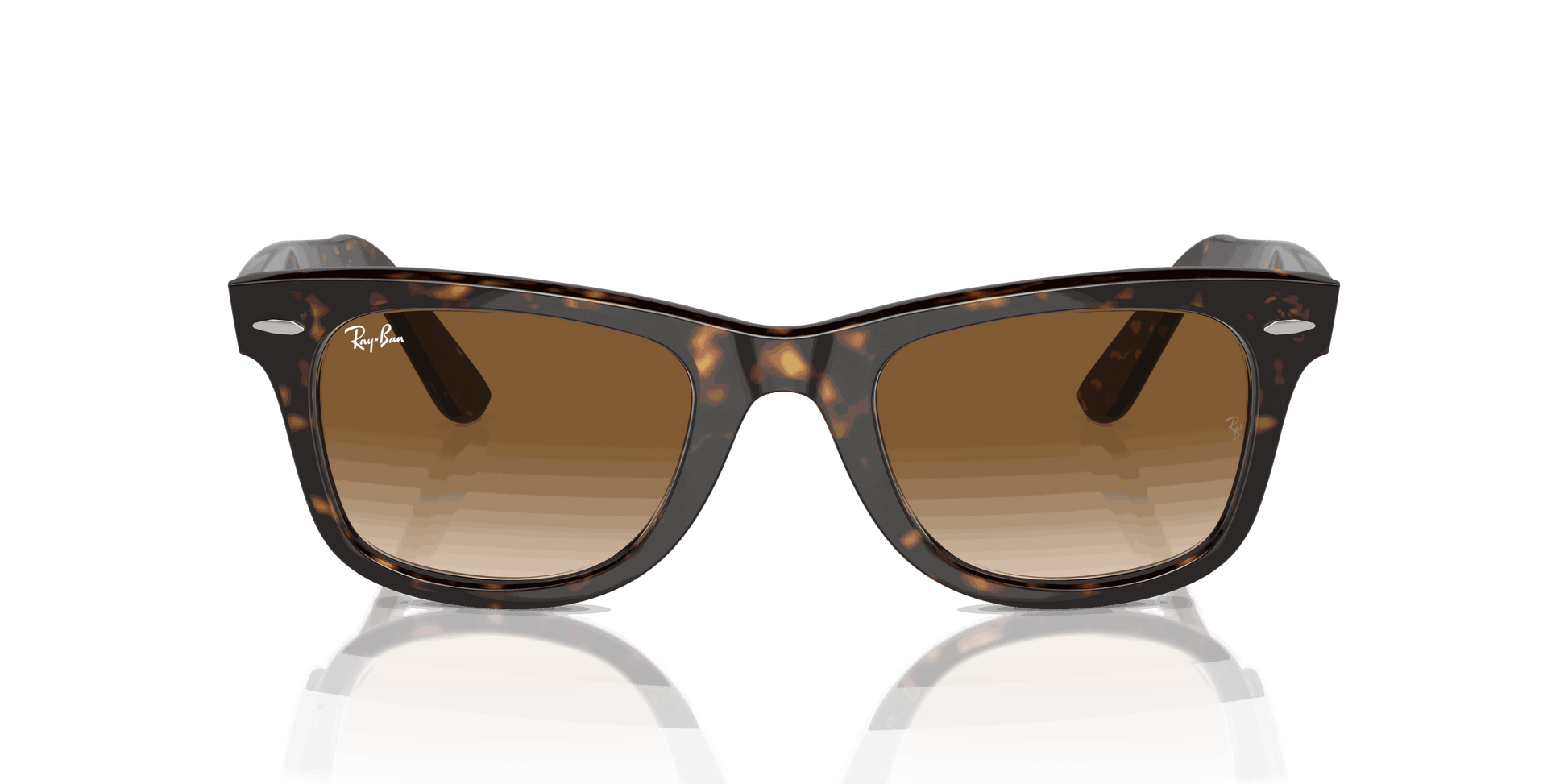 [Light Brown Lenses, Polished Tortoise Frame]