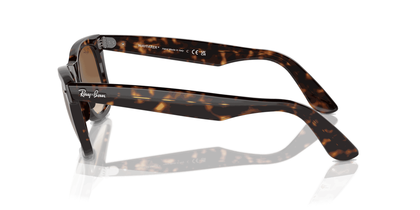 [Light Brown Lenses, Polished Tortoise Frame]