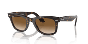 Light Brown Lenses, Polished Tortoise Frame