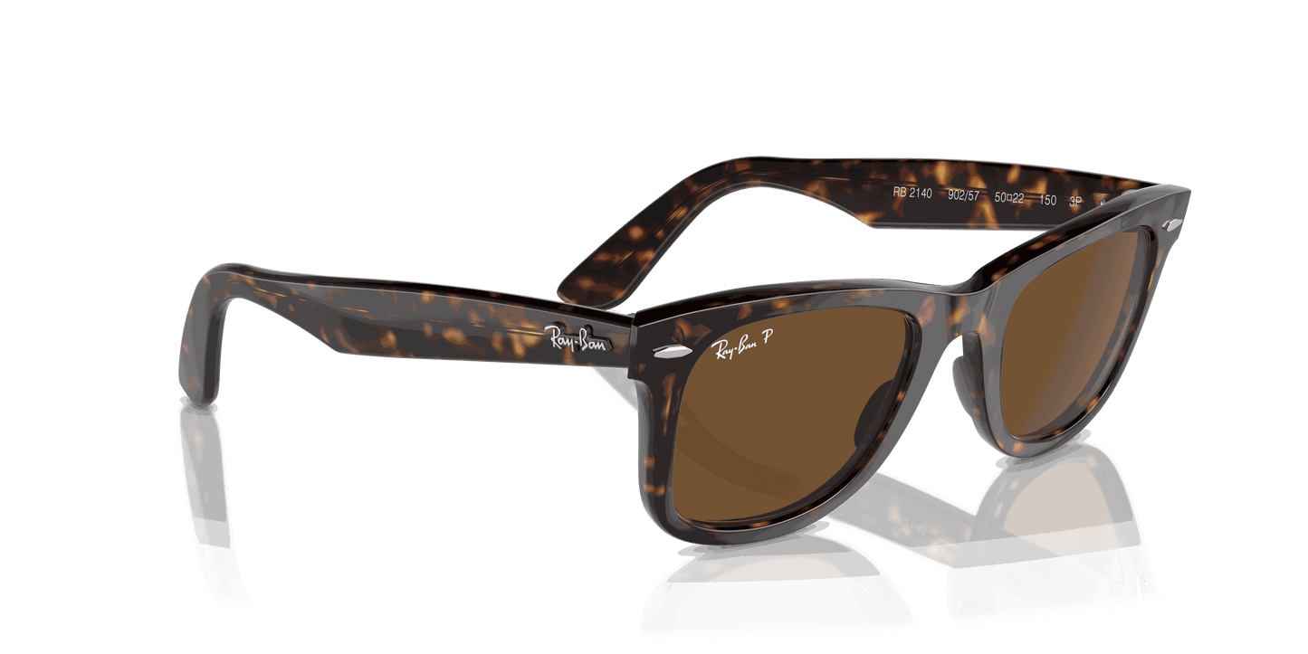 [Brown Lenses, Polished Tortoise Frame]