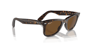 Brown Lenses, Polished Tortoise Frame