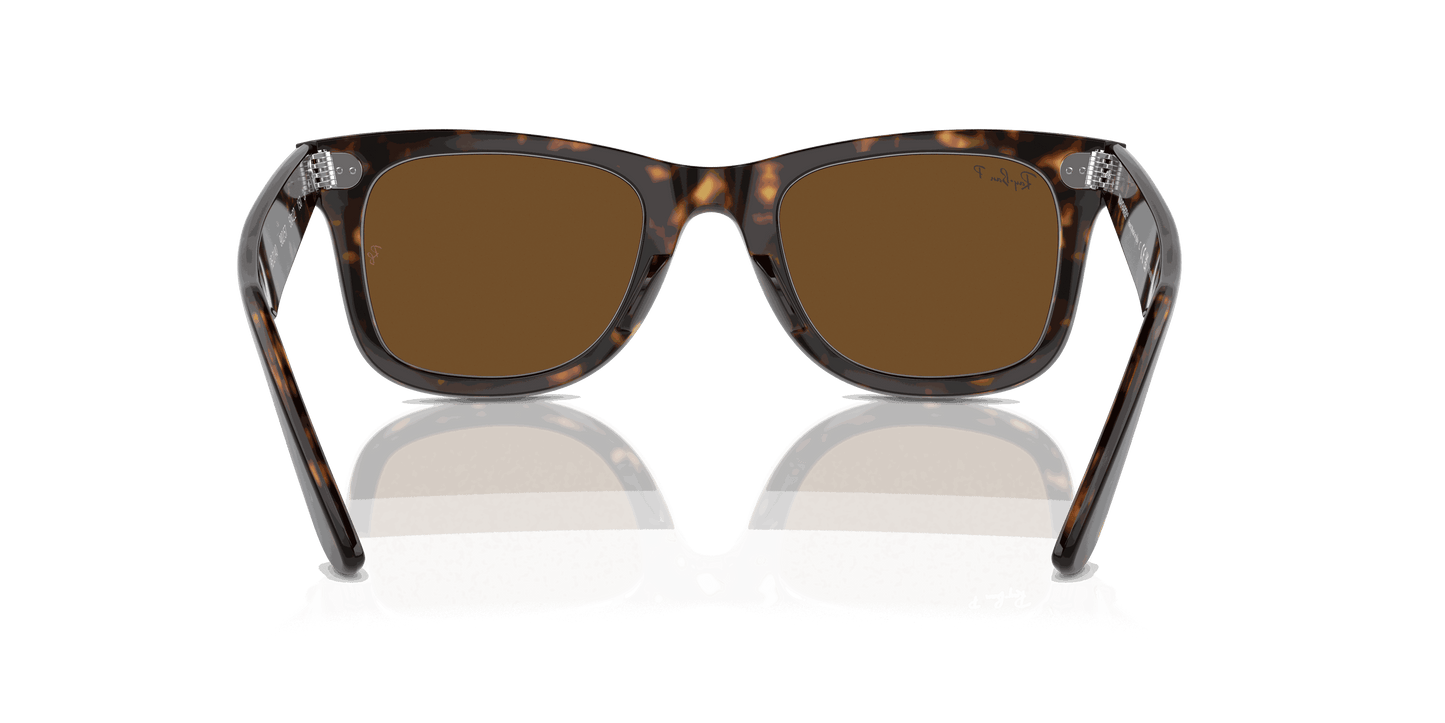 [Brown Lenses, Polished Tortoise Frame]