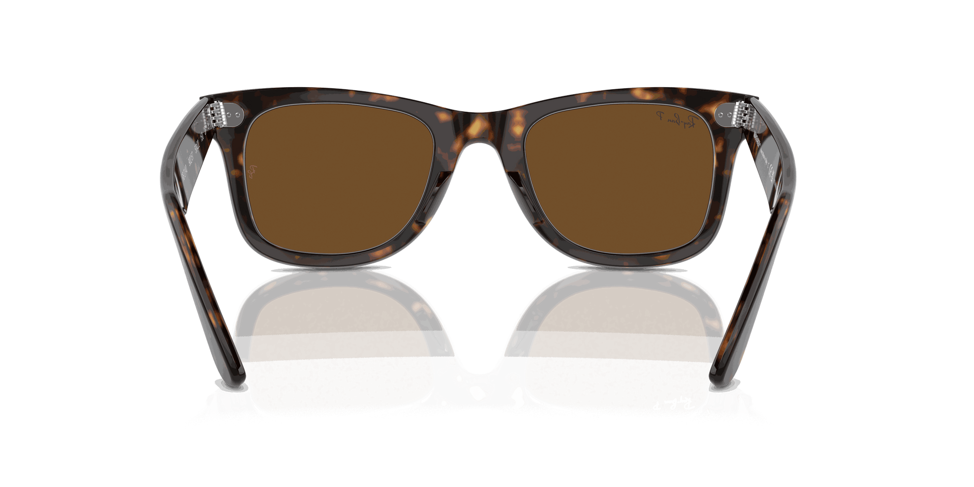 [Brown Lenses, Polished Tortoise Frame]
