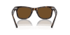 [Brown Lenses, Polished Tortoise Frame]