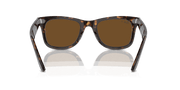 Brown Lenses, Polished Tortoise Frame