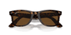 [Brown Lenses, Polished Tortoise Frame]