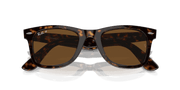 Brown Lenses, Polished Tortoise Frame