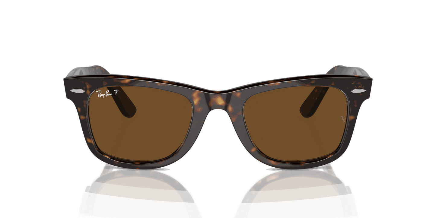 [Brown Lenses, Polished Tortoise Frame]