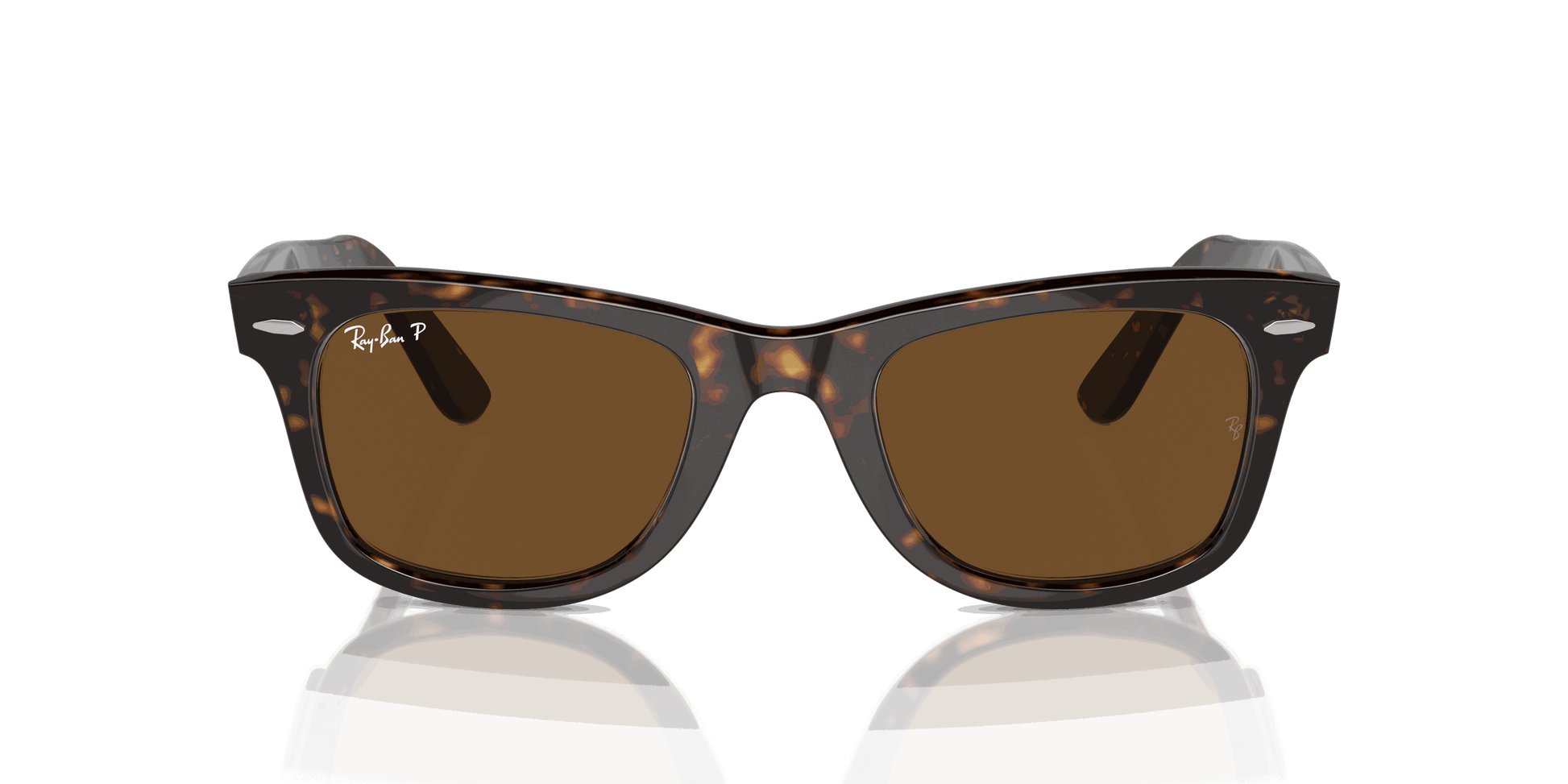 [Brown Lenses, Polished Tortoise Frame]