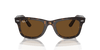 [Brown Lenses, Polished Tortoise Frame]