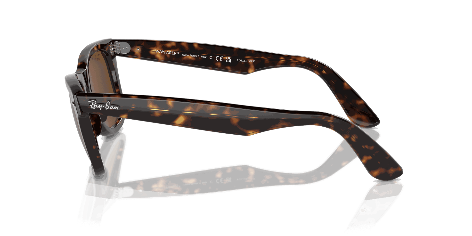 [Brown Lenses, Polished Tortoise Frame]