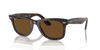 [Brown Lenses, Polished Tortoise Frame]