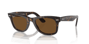 Brown Lenses, Polished Tortoise Frame