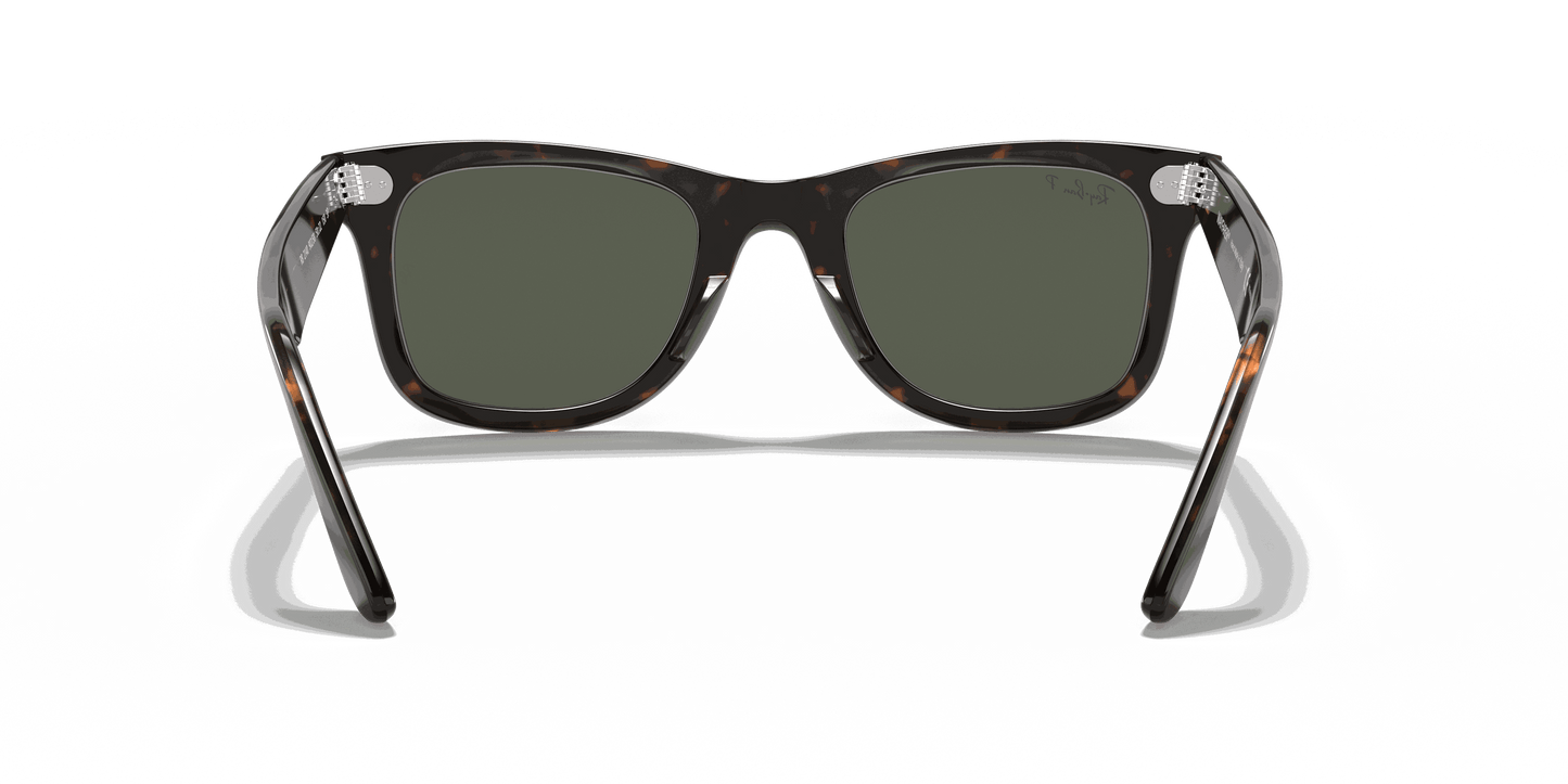 [Green Lenses, Polished Tortoise Frame]