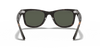 [Green Lenses, Polished Tortoise Frame]