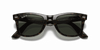 [Green Lenses, Polished Tortoise Frame]