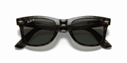 Green Lenses, Polished Tortoise Frame