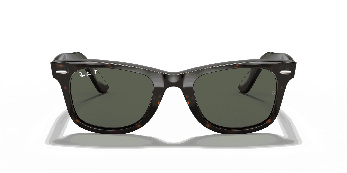 [Green Lenses, Polished Tortoise Frame]
