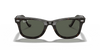 [Green Lenses, Polished Tortoise Frame]