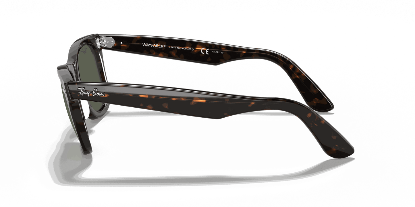 [Green Lenses, Polished Tortoise Frame]