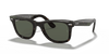 [Green Lenses, Polished Tortoise Frame]