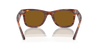 [B-15 Brown Lenses, Polished Striped Havana Frame]