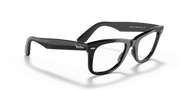 Clear Lenses, Polished Black Frame