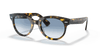 [Light Blue Gradient Lenses, Polished Yellow Havana Frame]