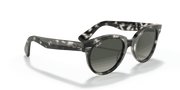 Grey Gradient Lenses, Polished Grey Havana Frame