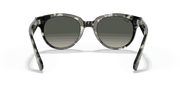 Grey Gradient Lenses, Polished Grey Havana Frame