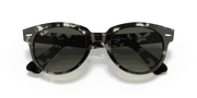 Grey Gradient Lenses, Polished Grey Havana Frame