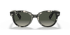 [Grey Gradient Lenses, Polished Grey Havana Frame]