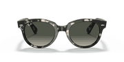 Grey Gradient Lenses, Polished Grey Havana Frame