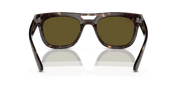 Dark Brown Lenses, Polished Havana Frame