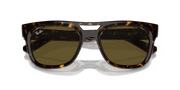 Dark Brown Lenses, Polished Havana Frame