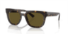 [Dark Brown Lenses, Polished Havana Frame]