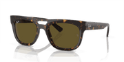 Dark Brown Lenses, Polished Havana Frame