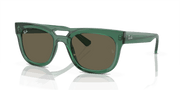 Brown Lenses, Polished Transparent Green Frame