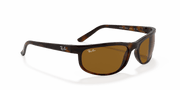 B-15 Brown Lenses, Polished Dark Havana Frame