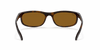 [B-15 Brown Lenses, Polished Dark Havana Frame]