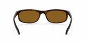 B-15 Brown Lenses, Polished Dark Havana Frame