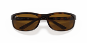 B-15 Brown Lenses, Polished Dark Havana Frame