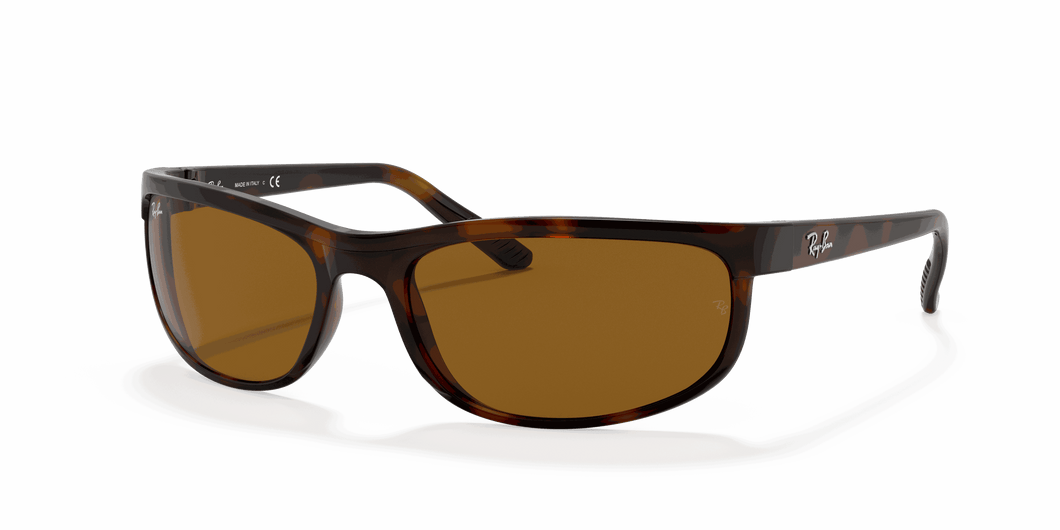 [B-15 Brown Lenses, Polished Dark Havana Frame]