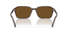 [B-15 Brown Lenses, Polished Havana Frame]